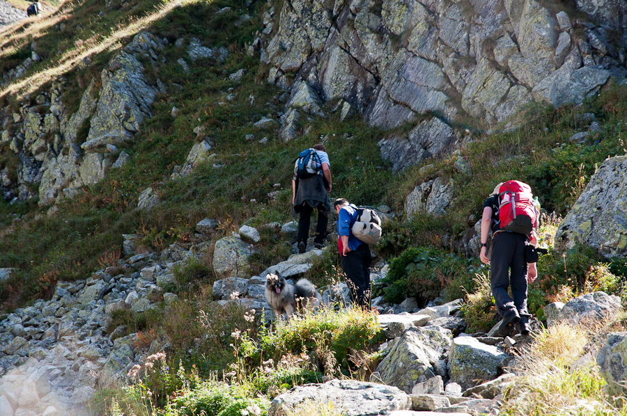 Bielovodskou dolinou na Východnú Vysokú (Vysoké Tatry)