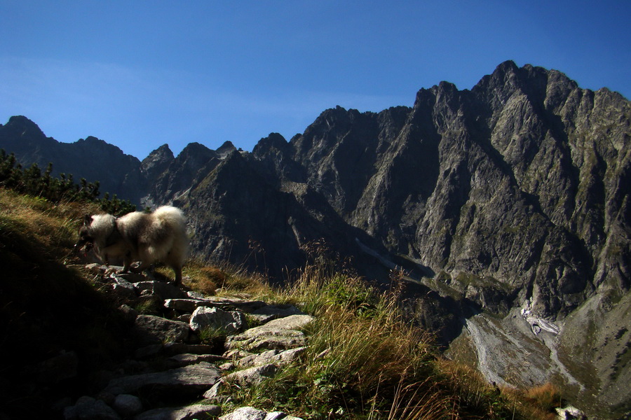 Bielovodskou dolinou na Východnú Vysokú (Vysoké Tatry)