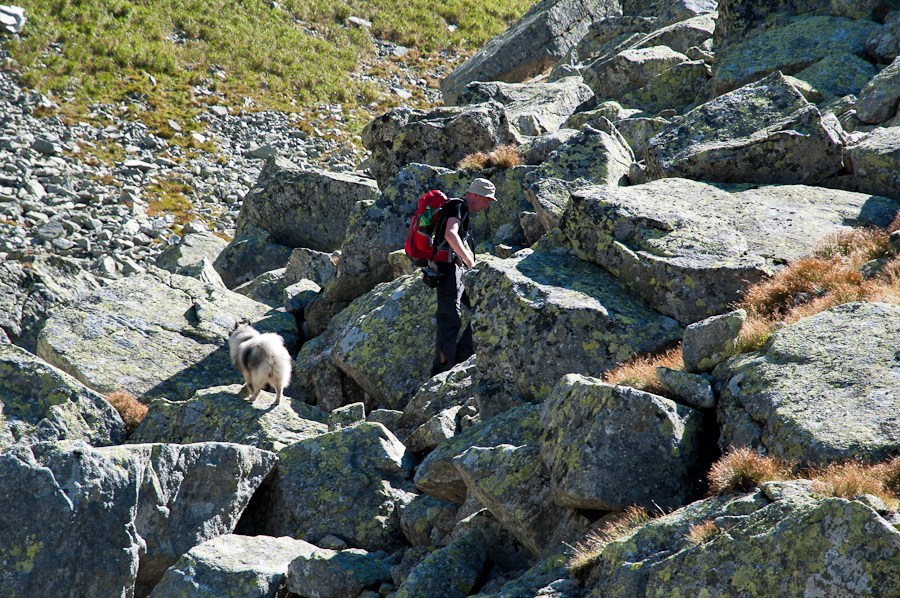 Bielovodskou dolinou na Východnú Vysokú (Vysoké Tatry)