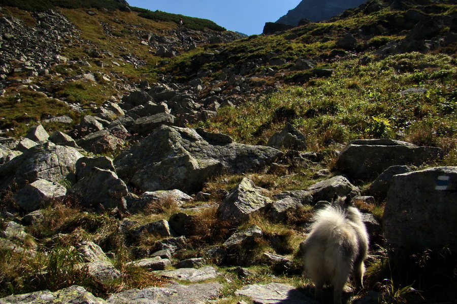 Bielovodskou dolinou na Východnú Vysokú (Vysoké Tatry)