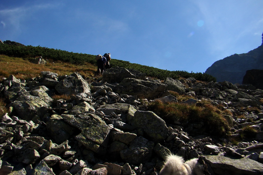 Bielovodskou dolinou na Východnú Vysokú (Vysoké Tatry)