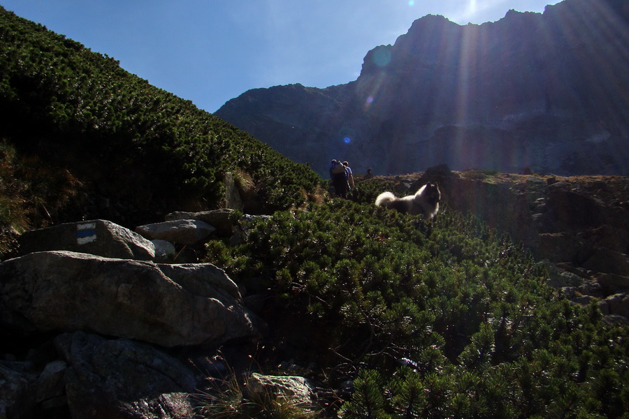 Bielovodskou dolinou na Východnú Vysokú (Vysoké Tatry)