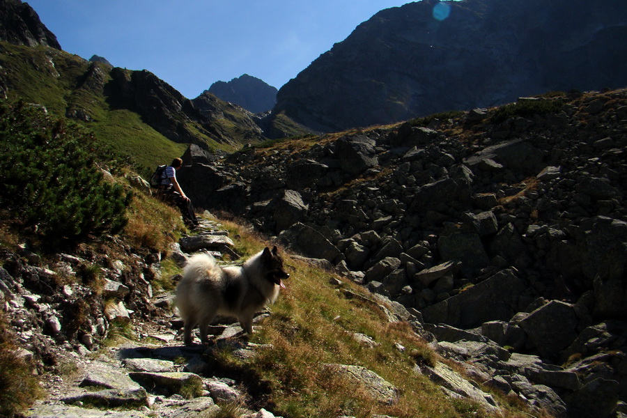 Bielovodskou dolinou na Východnú Vysokú (Vysoké Tatry)