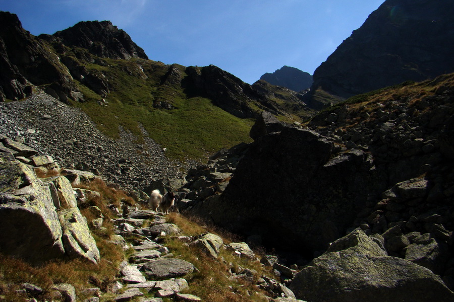 Bielovodskou dolinou na Východnú Vysokú (Vysoké Tatry)