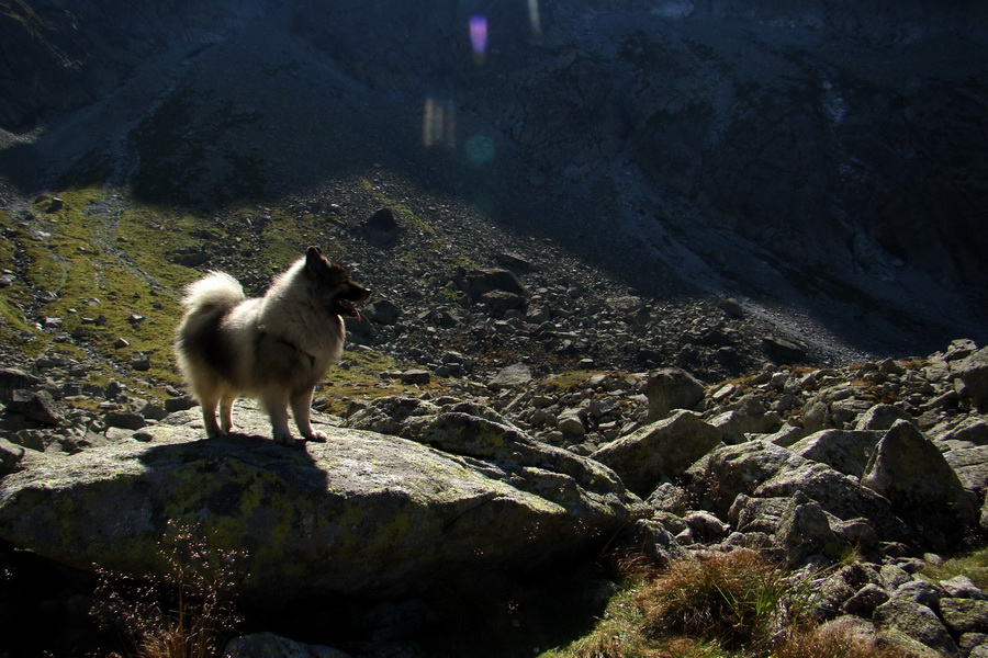 Bielovodskou dolinou na Východnú Vysokú (Vysoké Tatry)