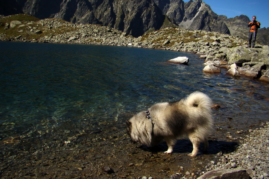 Bielovodskou dolinou na Východnú Vysokú (Vysoké Tatry)