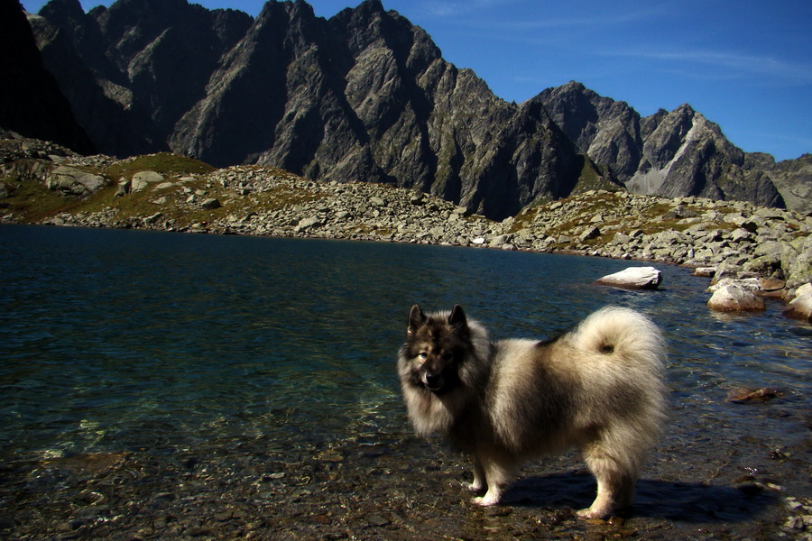 Bielovodskou dolinou na Východnú Vysokú (Vysoké Tatry)