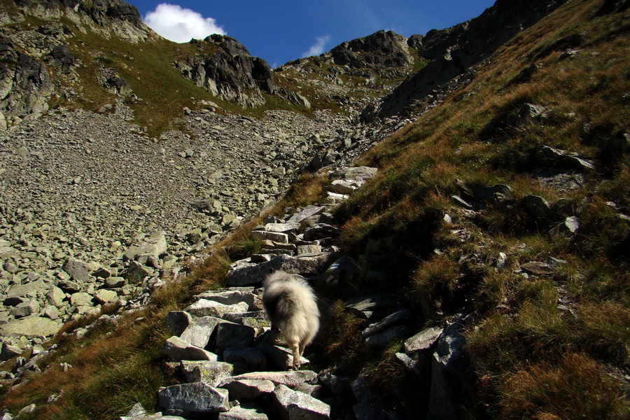 Bielovodskou dolinou na Východnú Vysokú (Vysoké Tatry)