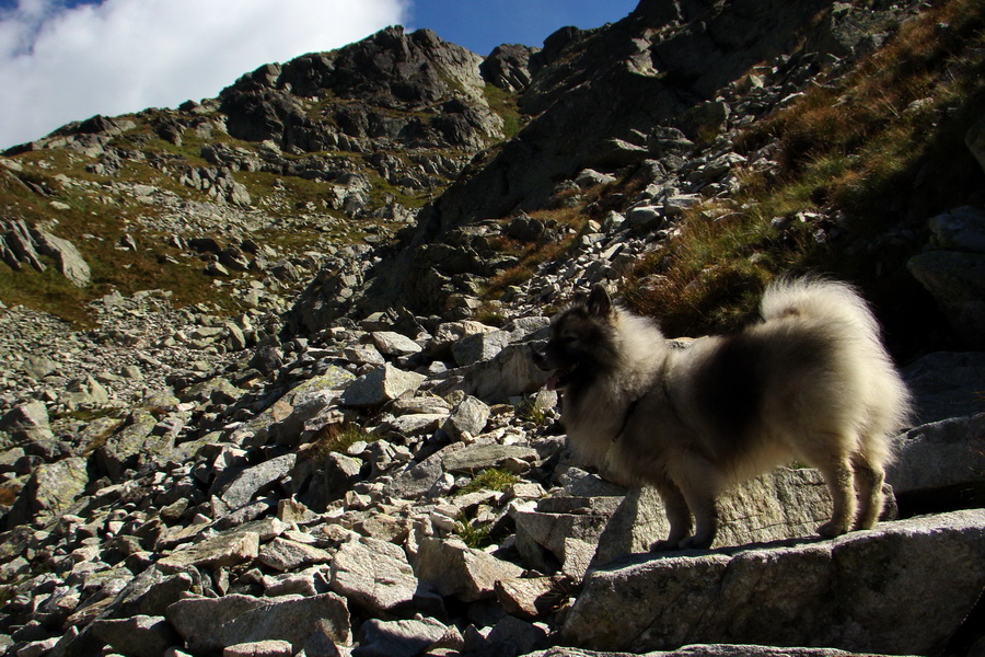 Bielovodskou dolinou na Východnú Vysokú (Vysoké Tatry)