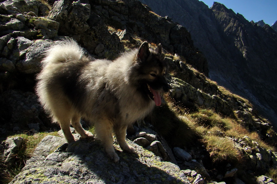 Bielovodskou dolinou na Východnú Vysokú (Vysoké Tatry)