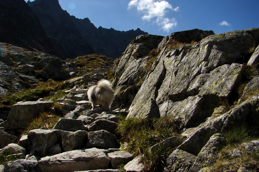 Bielovodskou dolinou na Východnú Vysokú (Vysoké Tatry)