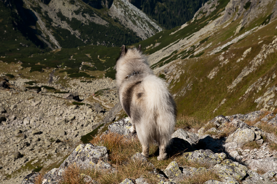 Bielovodskou dolinou na Východnú Vysokú (Vysoké Tatry)