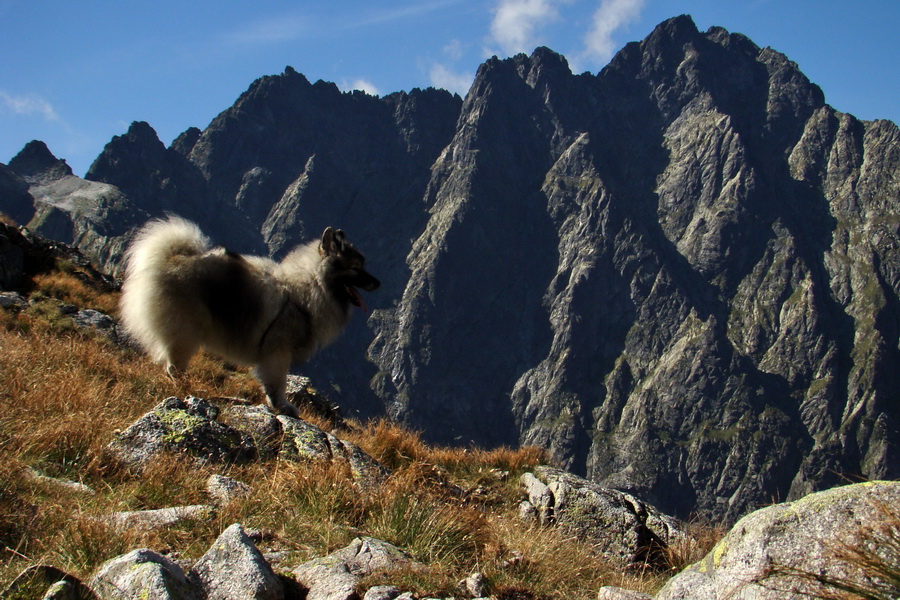 Bielovodskou dolinou na Východnú Vysokú (Vysoké Tatry)