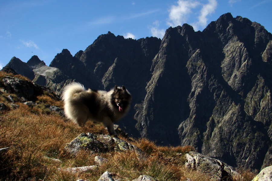 Bielovodskou dolinou na Východnú Vysokú (Vysoké Tatry)