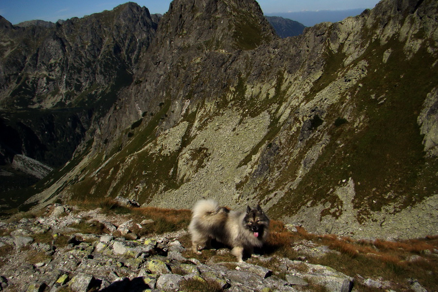 Bielovodskou dolinou na Východnú Vysokú (Vysoké Tatry)