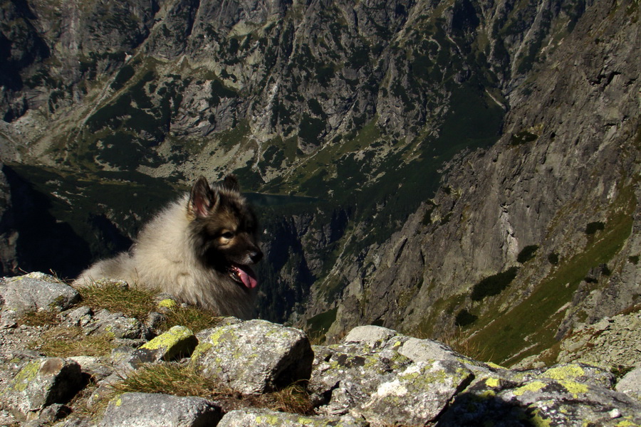 Bielovodskou dolinou na Východnú Vysokú (Vysoké Tatry)