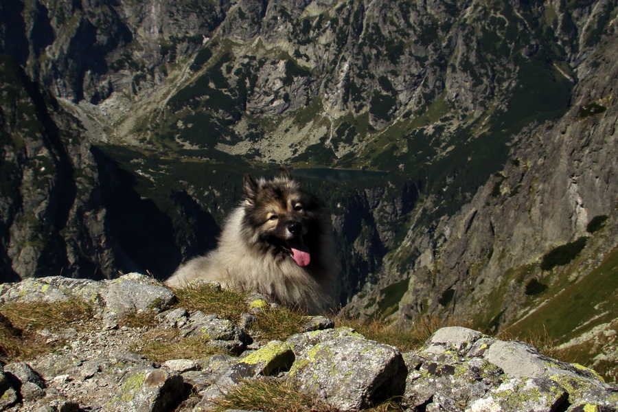 Bielovodskou dolinou na Východnú Vysokú (Vysoké Tatry)