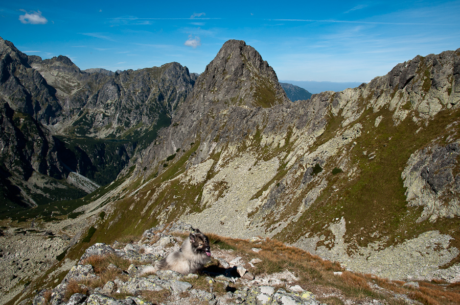 Bielovodskou dolinou na Východnú Vysokú (Vysoké Tatry)