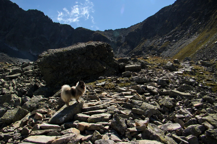 Bielovodskou dolinou na Východnú Vysokú (Vysoké Tatry)