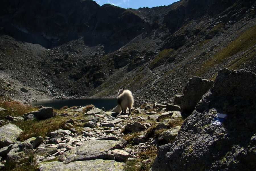 Bielovodskou dolinou na Východnú Vysokú (Vysoké Tatry)