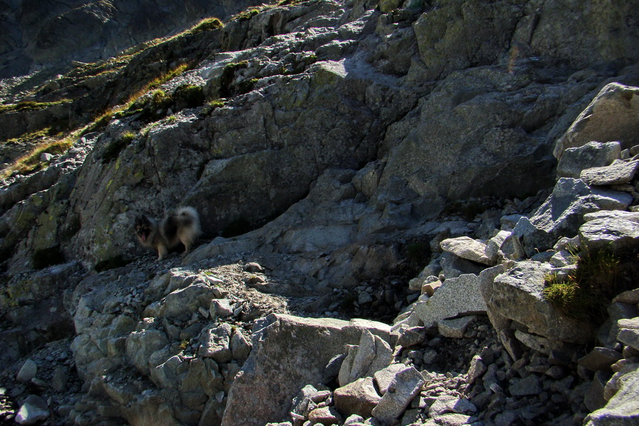 Bielovodskou dolinou na Východnú Vysokú (Vysoké Tatry)