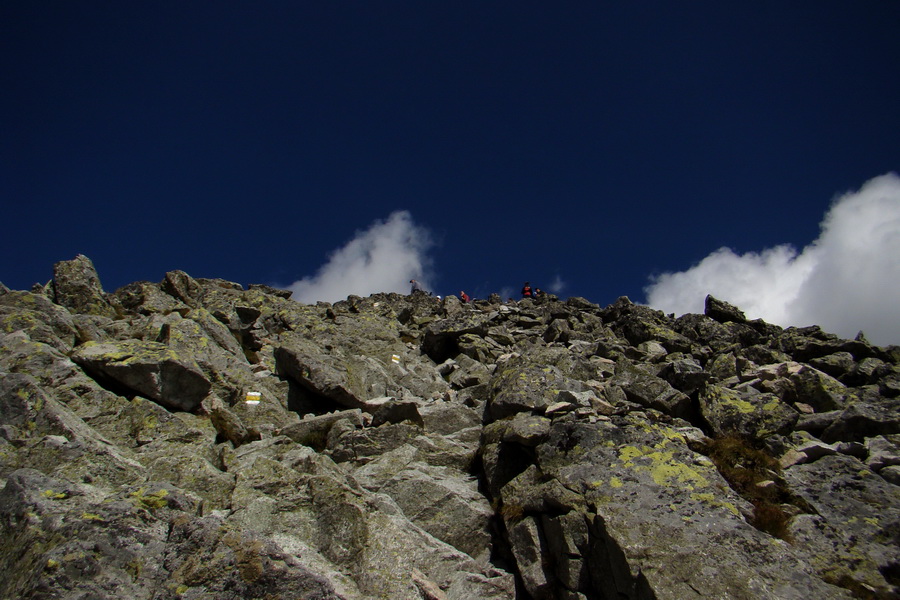 Bielovodskou dolinou na Východnú Vysokú (Vysoké Tatry)