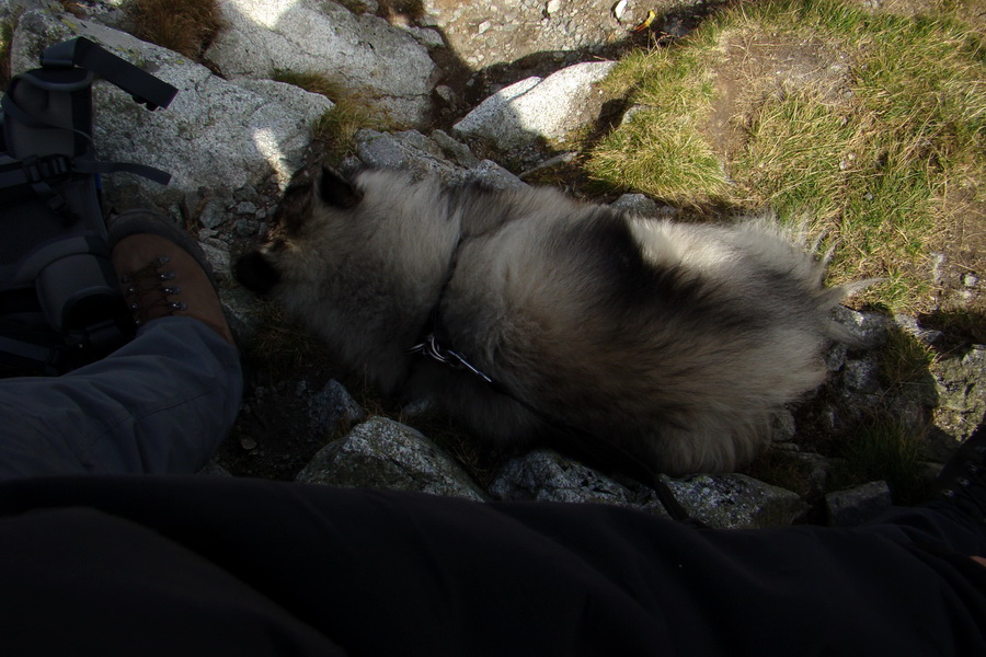 Bielovodskou dolinou na Východnú Vysokú (Vysoké Tatry)