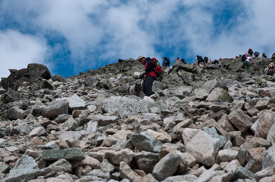 Bielovodskou dolinou na Východnú Vysokú (Vysoké Tatry)