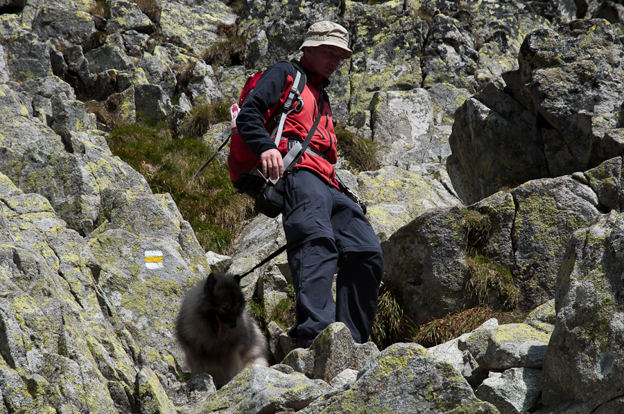 Bielovodskou dolinou na Východnú Vysokú (Vysoké Tatry)