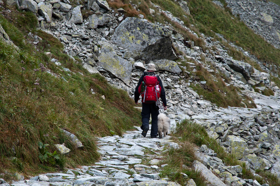 Bielovodskou dolinou na Východnú Vysokú (Vysoké Tatry)