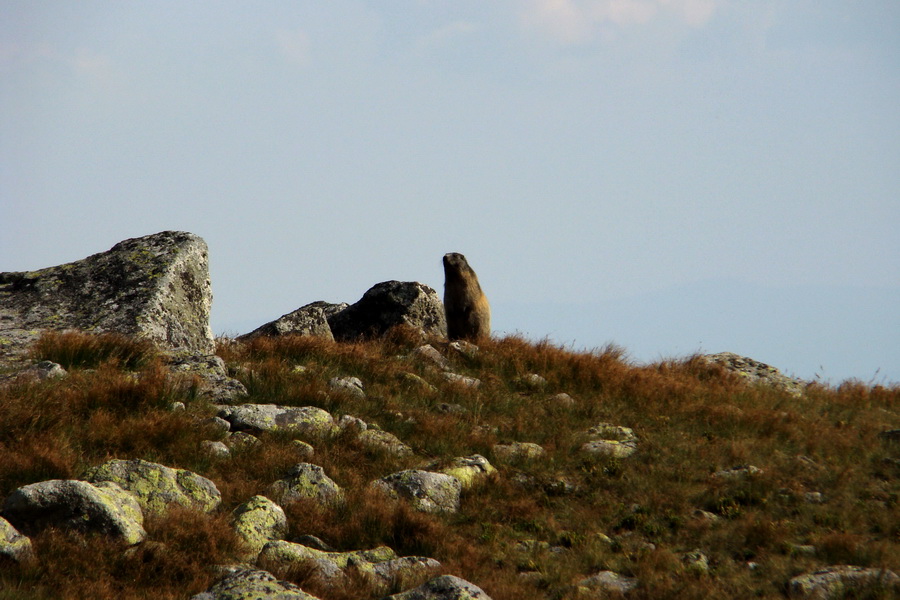 Bielovodskou dolinou na Východnú Vysokú (Vysoké Tatry)