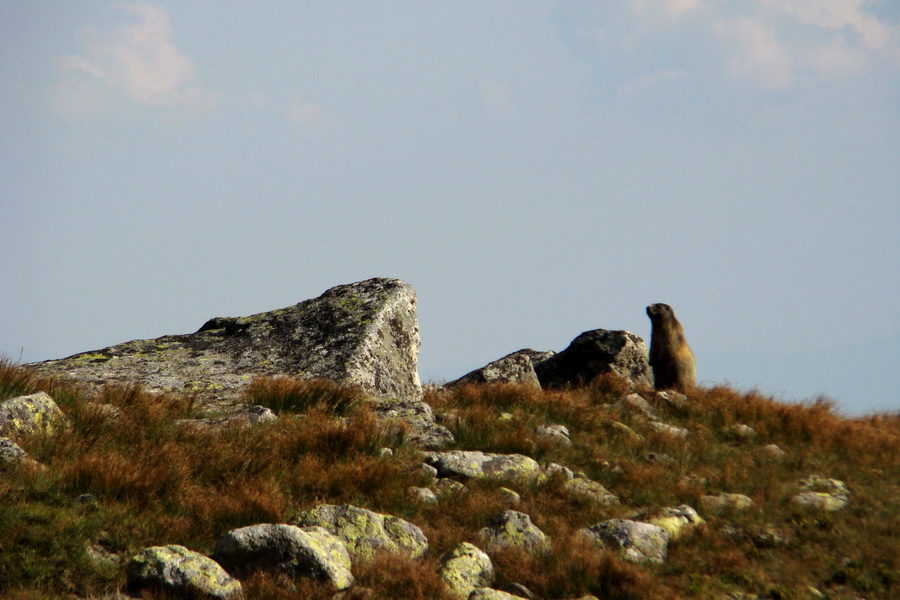 Bielovodskou dolinou na Východnú Vysokú (Vysoké Tatry)