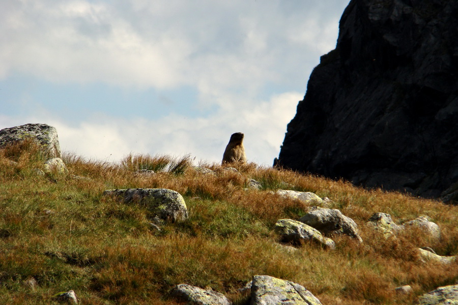 Bielovodskou dolinou na Východnú Vysokú (Vysoké Tatry)