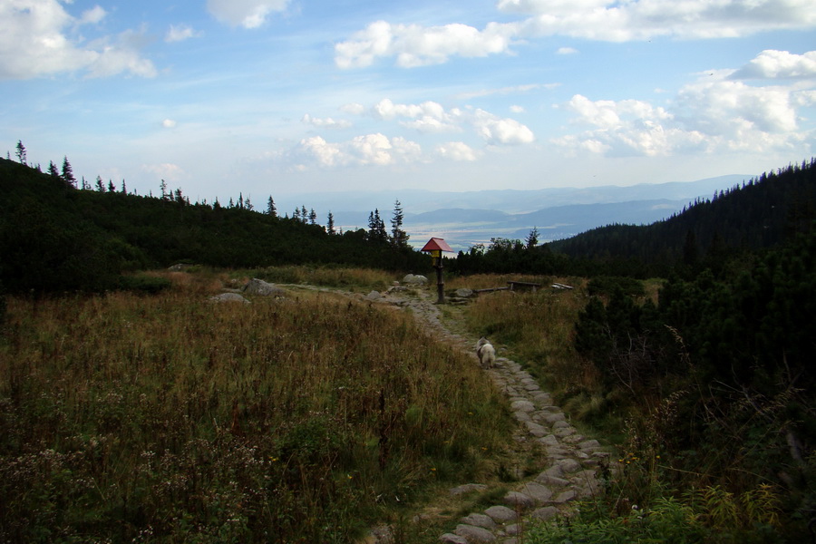 Bielovodskou dolinou na Východnú Vysokú (Vysoké Tatry)