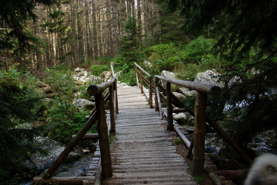 Bielovodskou dolinou na Východnú Vysokú (Vysoké Tatry)