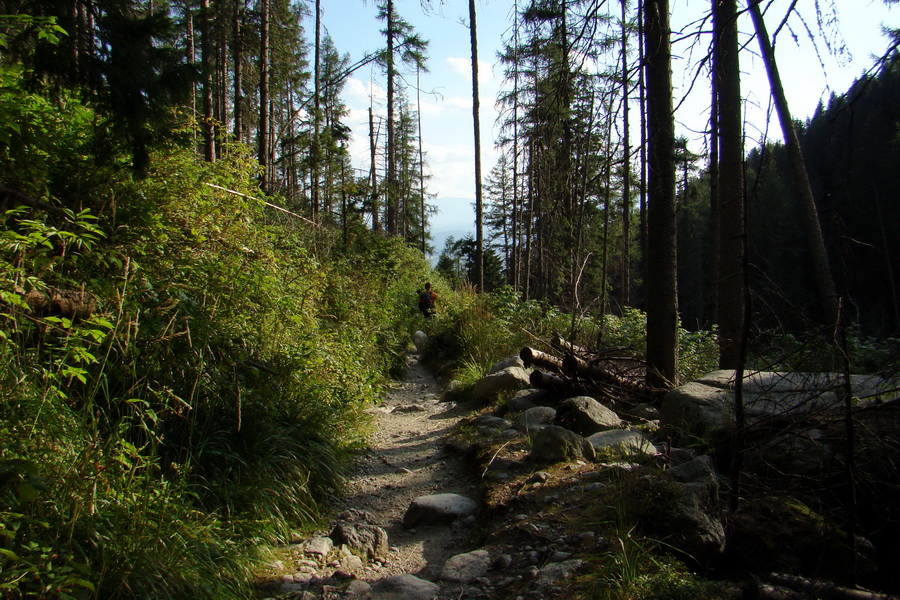 Bielovodskou dolinou na Východnú Vysokú (Vysoké Tatry)