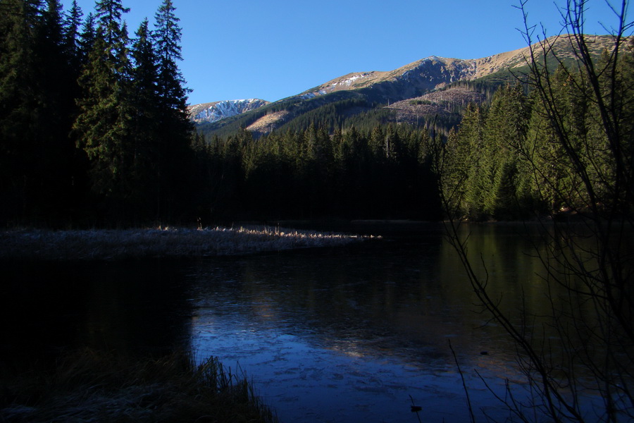 Vrbické pleso