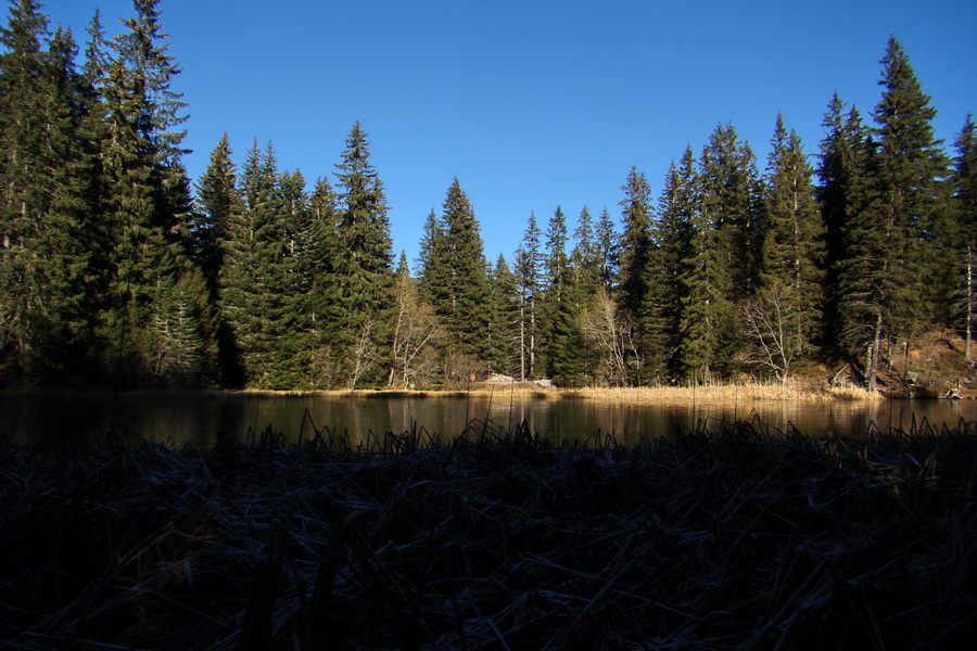 Vrbické pleso