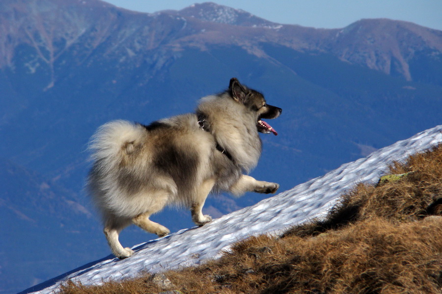 Ati na Derešoch, v pozadí Západné Tatry