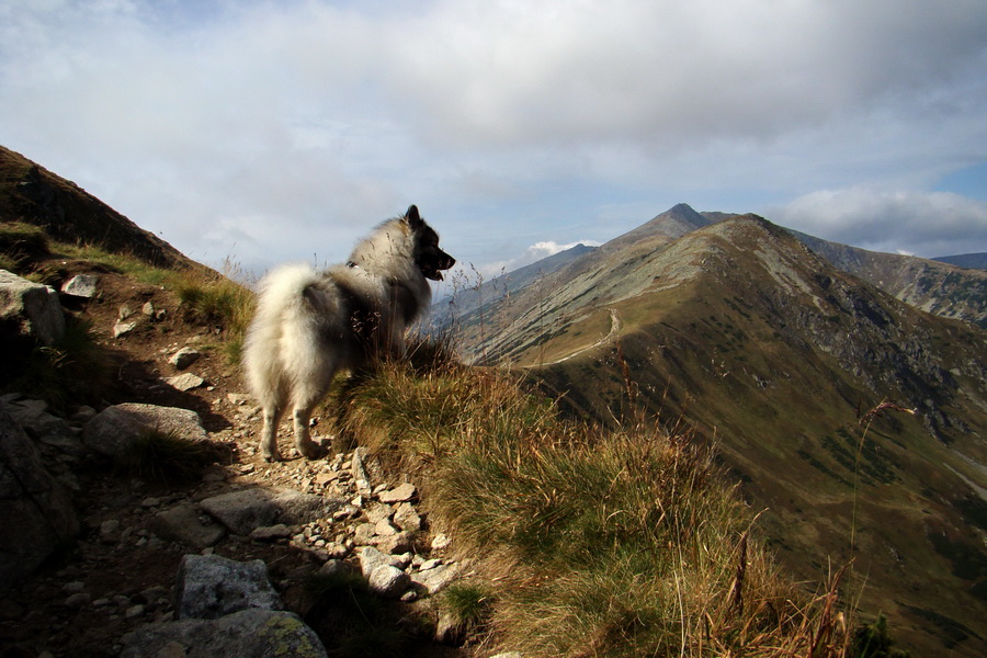 Ďumbier z Lúčok (Nízke Tatry)