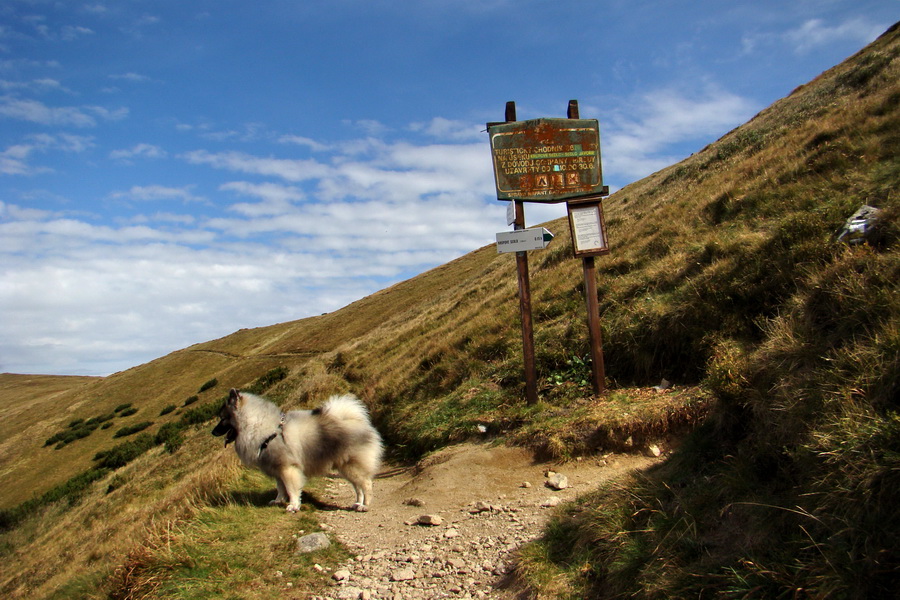 Ďumbier z Lúčok (Nízke Tatry)