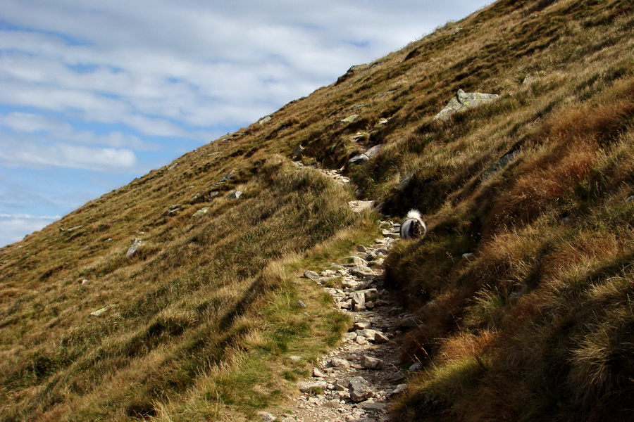 Ďumbier z Lúčok (Nízke Tatry)