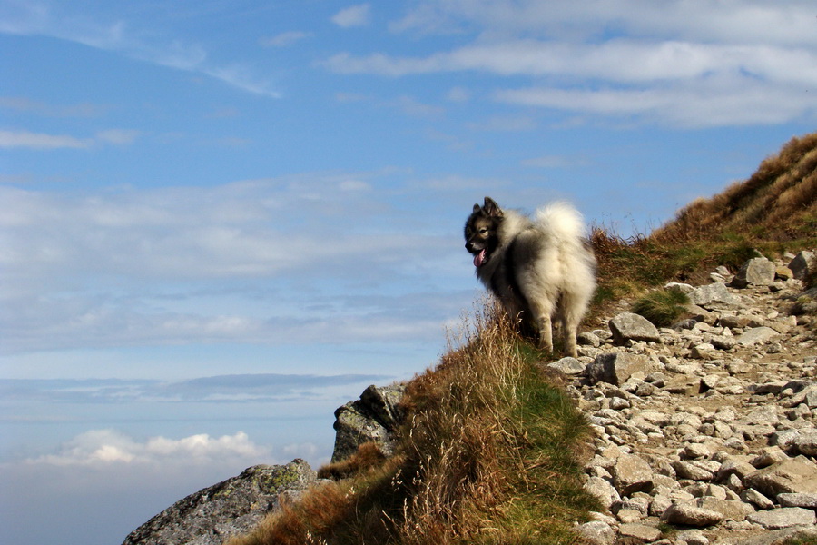 Ďumbier z Lúčok (Nízke Tatry)