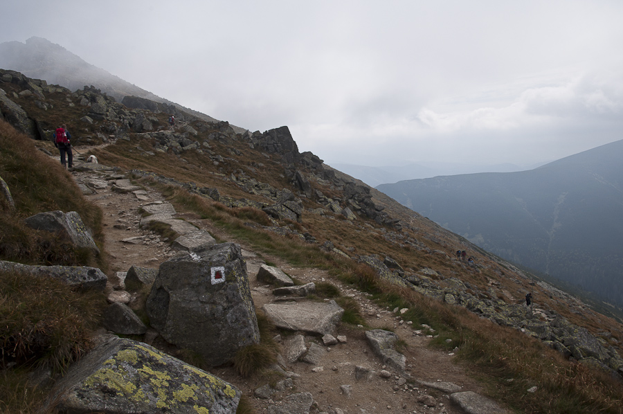 Ďumbier z Lúčok (Nízke Tatry)