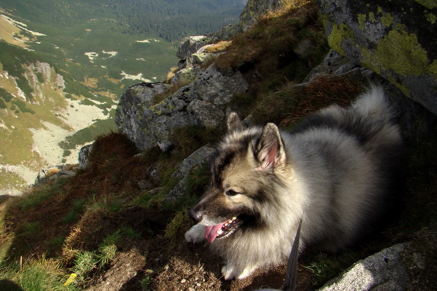 Ďumbier z Lúčok (Nízke Tatry)