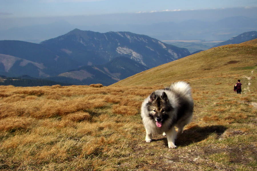 Ďumbier z Lúčok (Nízke Tatry)