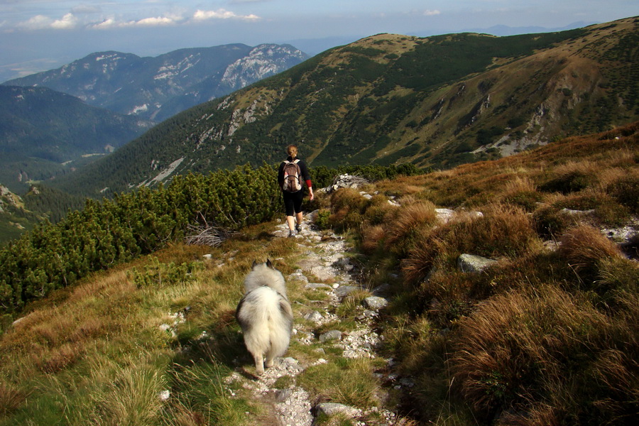 Ďumbier z Lúčok (Nízke Tatry)