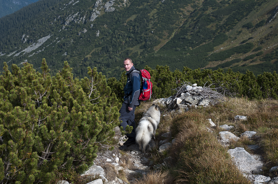 Ďumbier z Lúčok (Nízke Tatry)