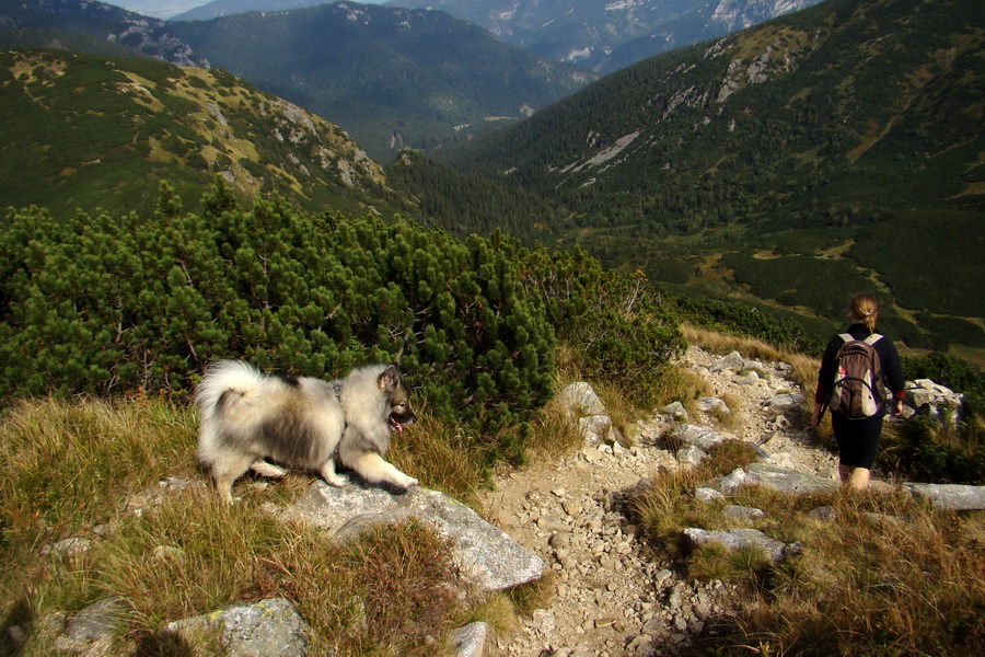 Ďumbier z Lúčok (Nízke Tatry)