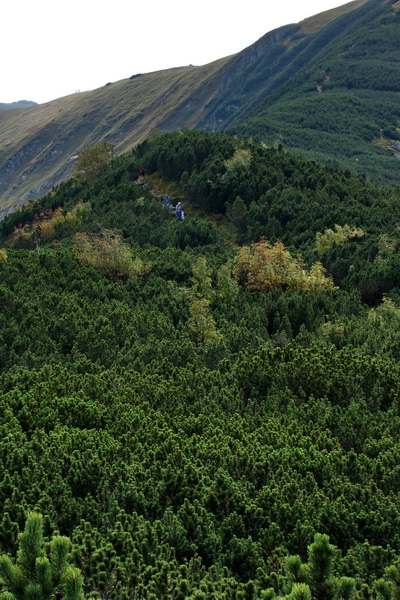 Ďumbier z Lúčok (Nízke Tatry)